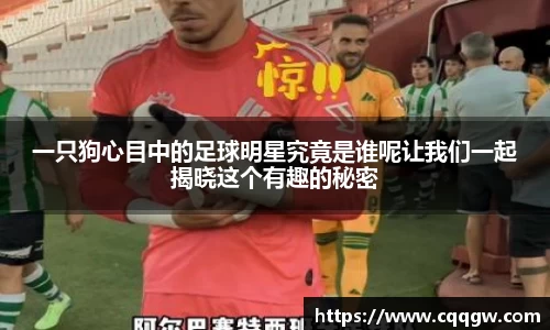 一只狗心目中的足球明星究竟是谁呢让我们一起揭晓这个有趣的秘密